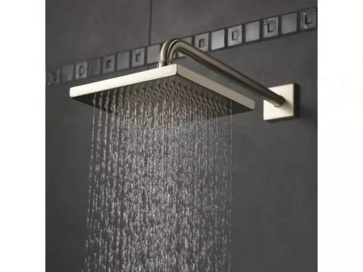 The-Raincan-showerhead-530x397