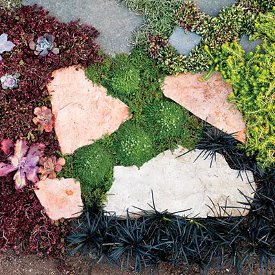 graphic-garden-art-paving-planting-ideas-pick-your-look-bottom-0412-l