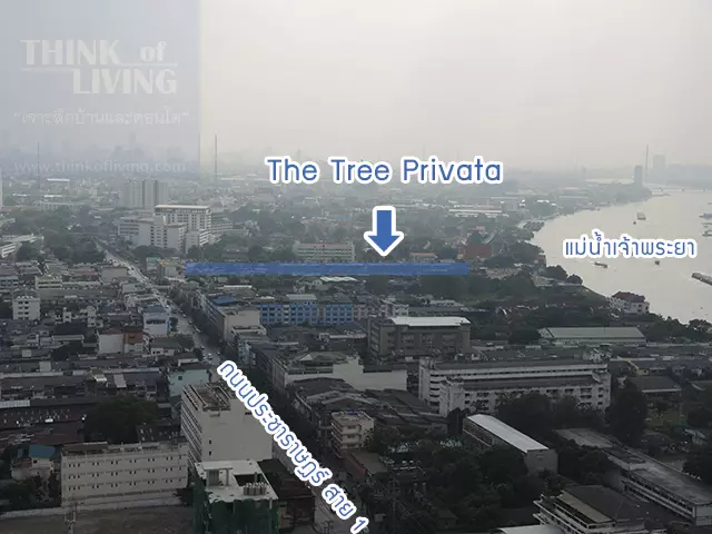 the tree privata top
