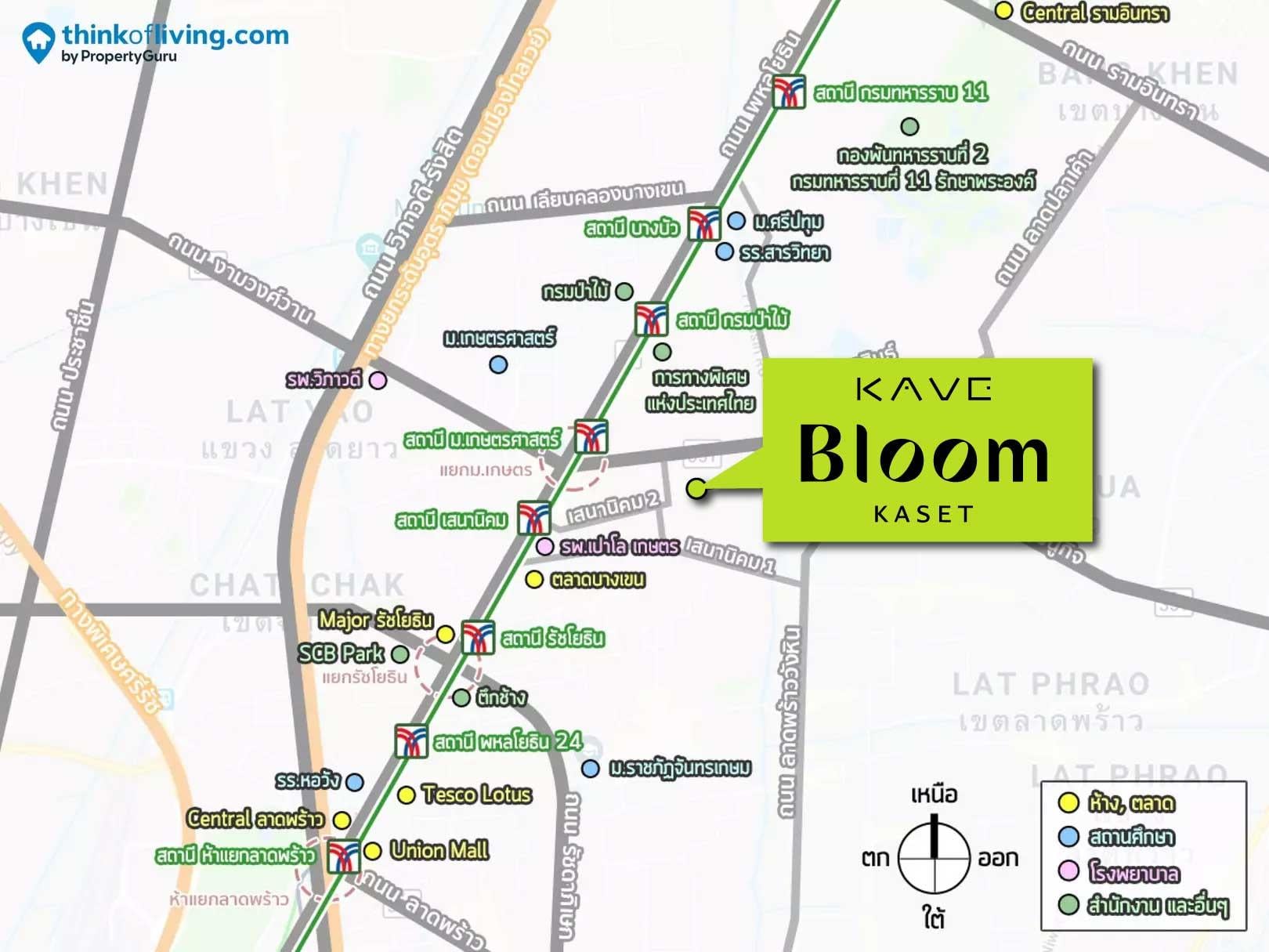 Kave Bloom Kaset