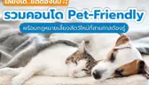 รวมคอนโดเลี้ยงสัตว์ได้ Pet-Friendly