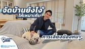 Living Idea : เลี้ยงน้องหมาในบ้านยังไง…ให้สบายใจทั้งคนทั้งหมา