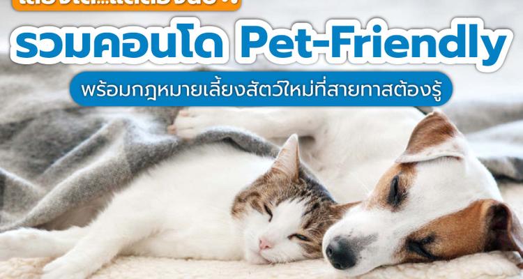 รวมคอนโดเลี้ยงสัตว์ได้ Pet-Friendly